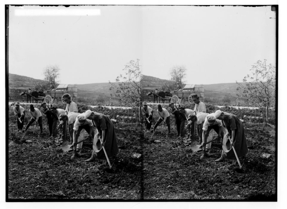 Jewish colonies and settlements. Commencing a Jewish settlement; a camp. Men and women working LOC matpc.02359