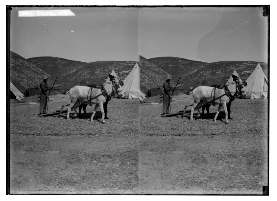 Jewish colonies and settlements. Commencing a Jewish settlement; a camp. Threshing with board LOC matpc.02364