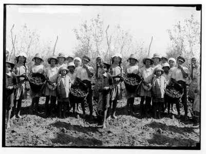 Jewish colonies and settlements. Richon le Zion. Group of almond gatherers LOC matpc.02329