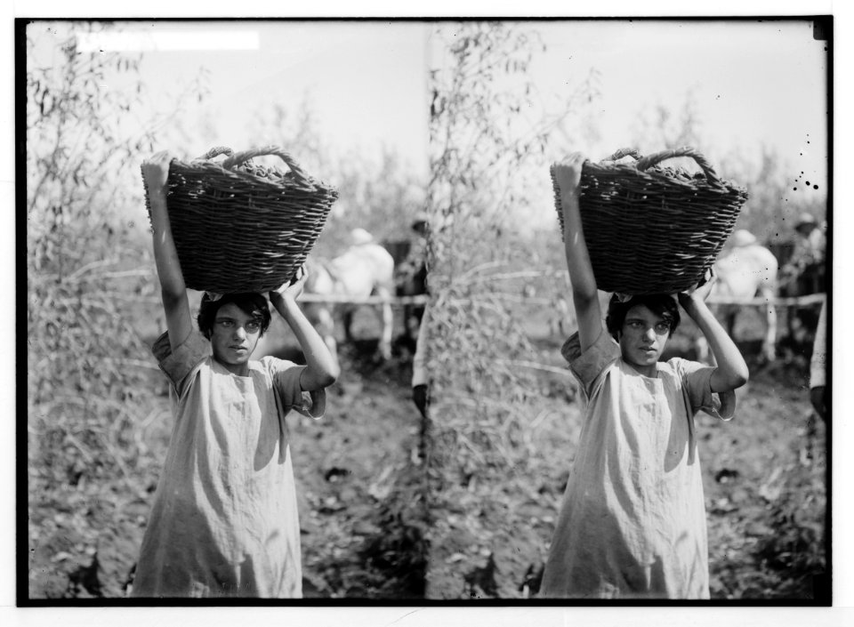 Jewish colonies and settlements. Richon le Zion. Maiden of Richon LOC matpc.02332