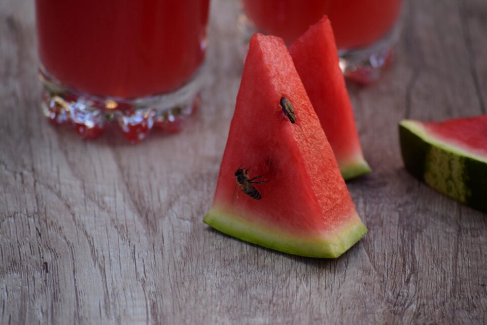 Bee honey bee melon