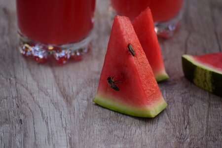 Bee honey bee melon