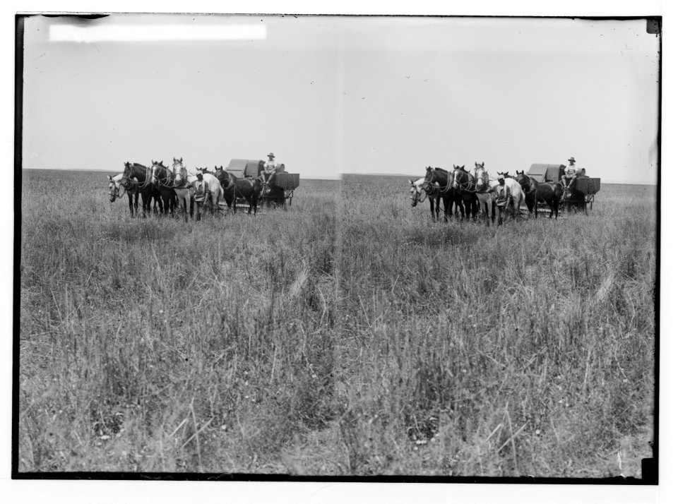 Jewish colonies and settlements. Commencing a Jewish settlement; a camp. Harvester-thresher at work LOC matpc.02363