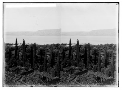 Jewish colonies and settlements. Various Jewish colonies, etc. Orchards of Degania and Sea of Galilee LOC matpc.02347