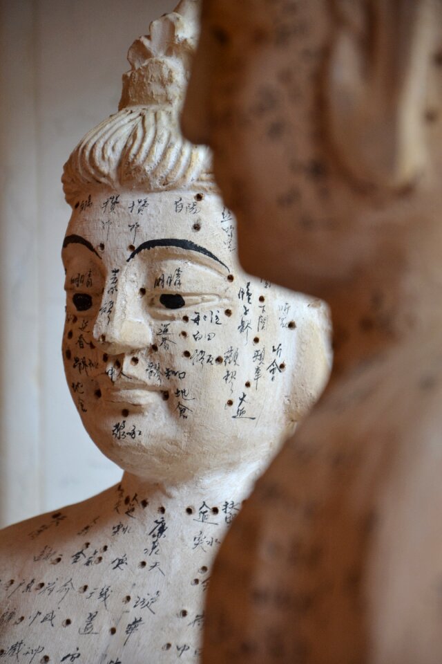 Healing medical chinese medicine