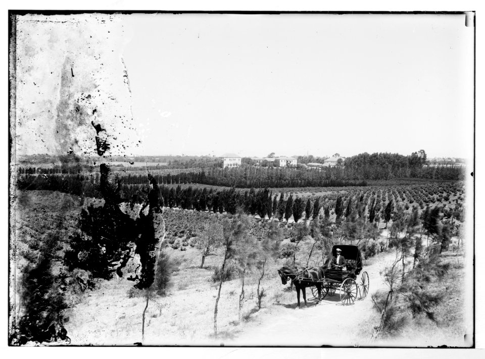 Jewish colony LOC matpc.04715