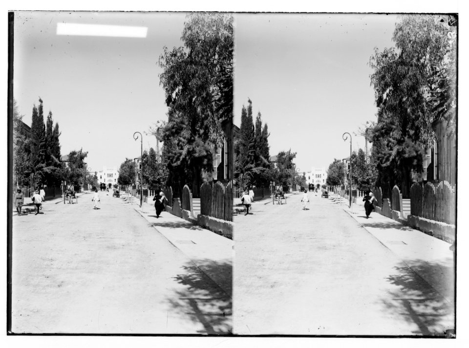Jewish colonies and settlements. Tel Aviv. Herzl Avenue LOC matpc.02334