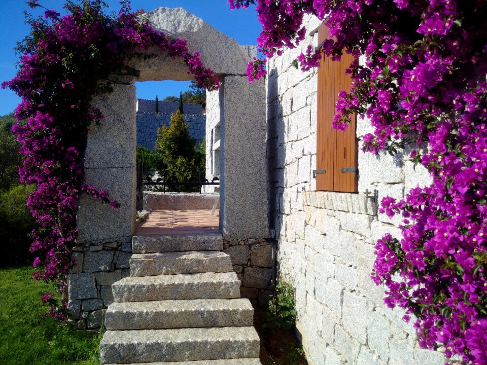 Li conchi flower architecture