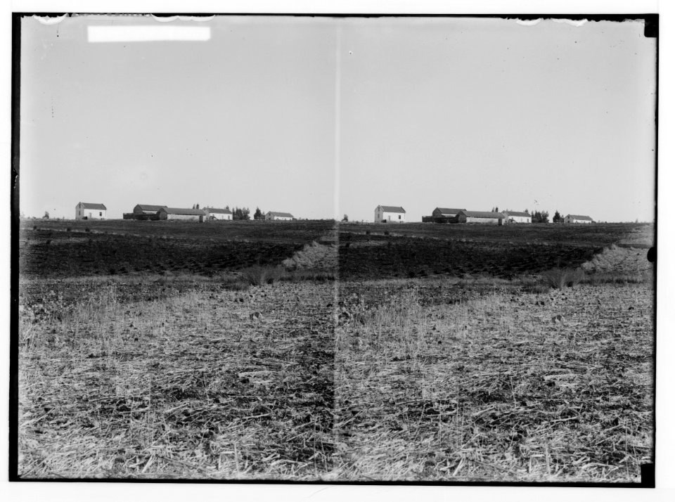 Jewish colonies and settlements. Various Jewish colonies, etc. Ain Zeitoun LOC matpc.02350