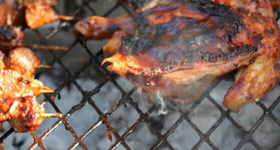 Cookout meal outdoors photo