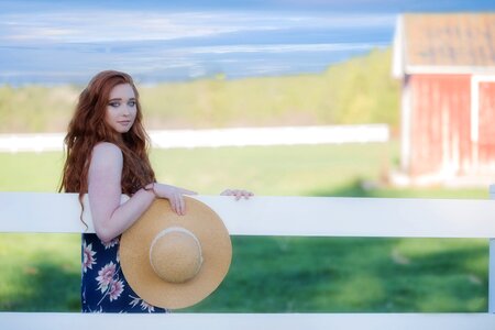 Beautiful summertime country photo
