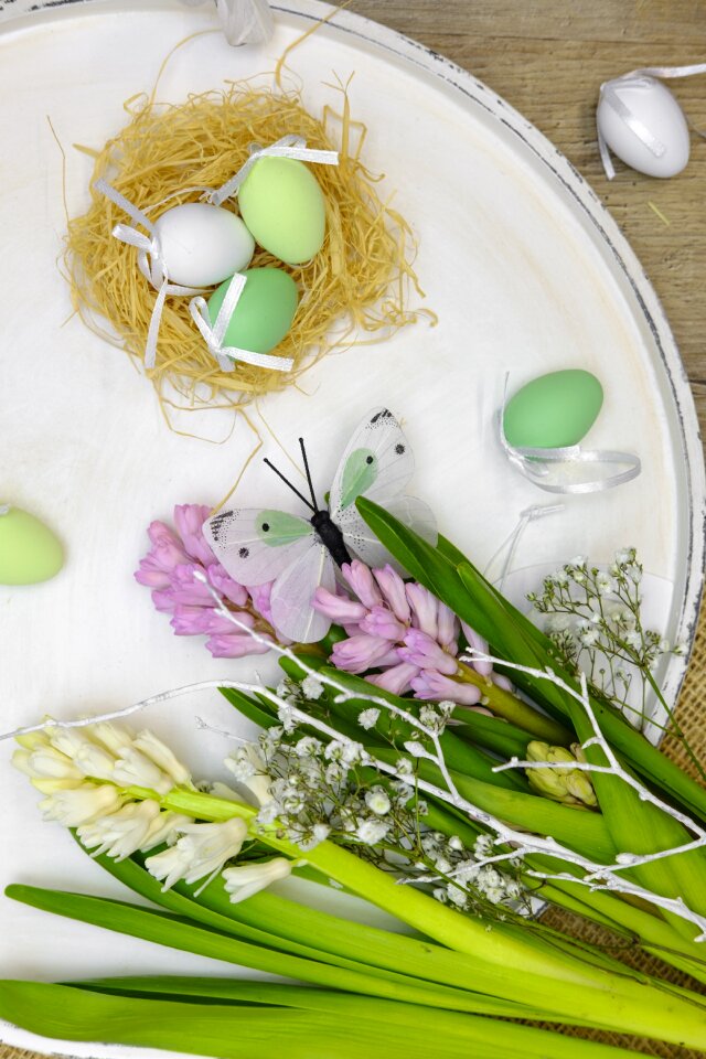 Easter nest easter hare