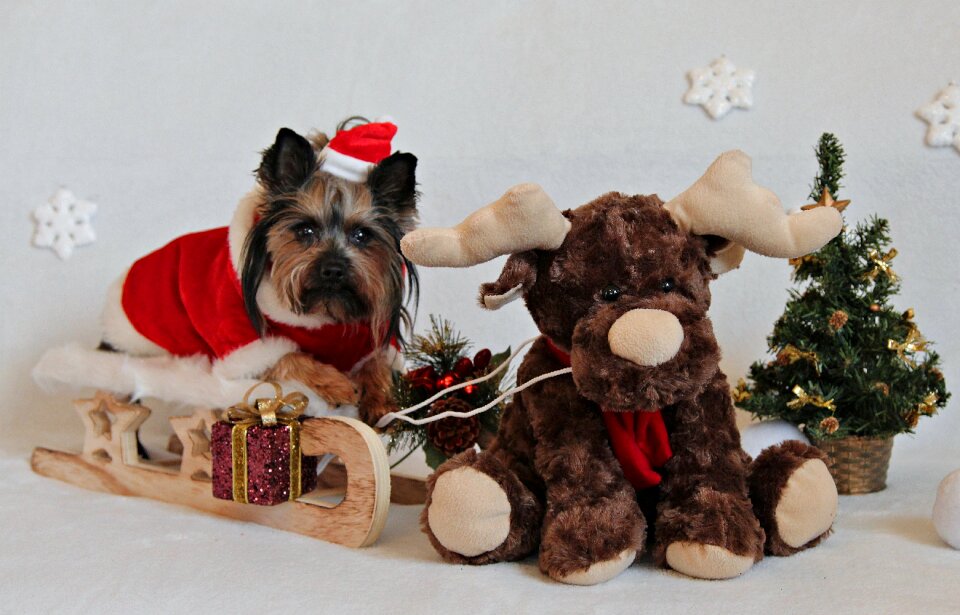 Sled santa claus cute