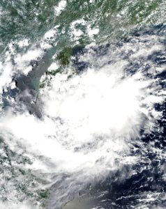 JMA TD 2 September 2009