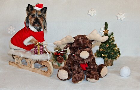 Sled santa claus cute