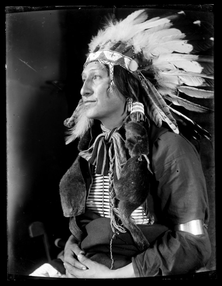 Joe Black Fox, a Sioux Indian from Buffalo Bill's Wild West Show LCCN2006679563