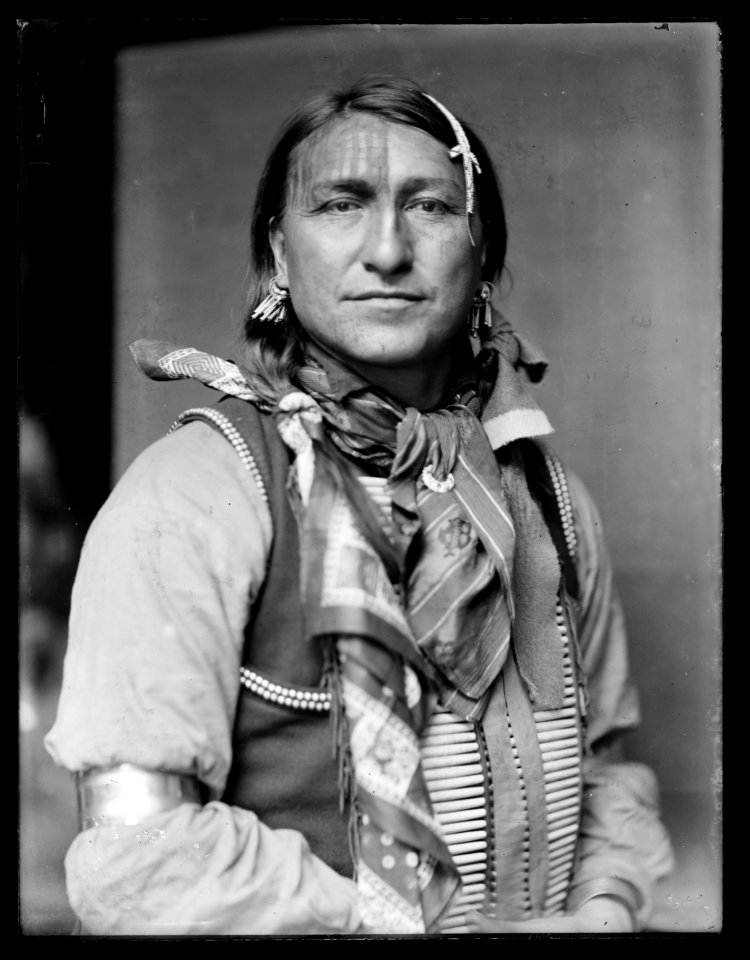 Joe Black Fox, a Sioux Indian from Buffalo Bill's Wild West Show LCCN2006679564