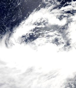 JMA TD 11 (Kiko) 3 August 2009