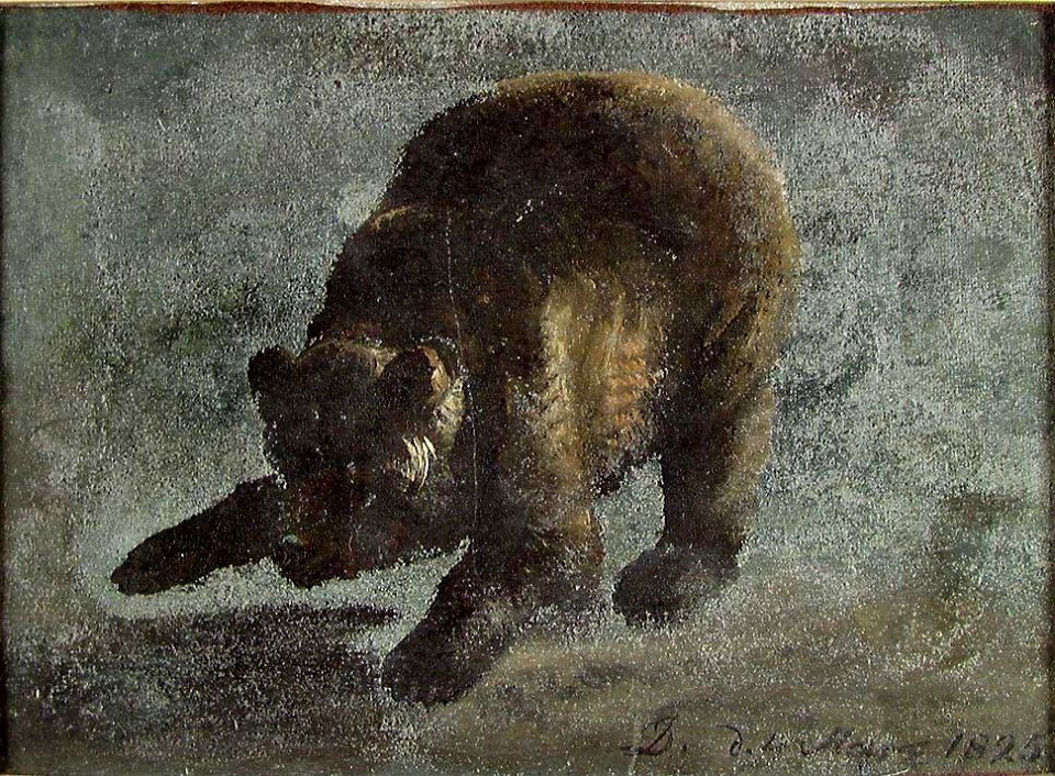 Johan Christian Dahl - Study of a Bear - NG.M.02446 - National Museum of Art, Architecture and Design
