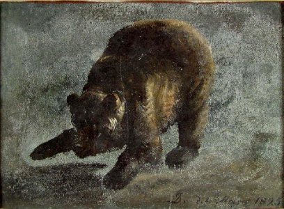 Johan Christian Dahl - Study of a Bear - NG.M.02446 - National Museum of Art, Architecture and Design photo