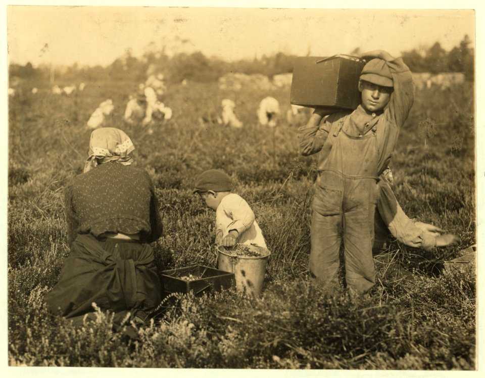 Jim Waldine, 1023 Carpenter St., Philadelphia. 6 years old, been picking cranberries two years. Also Sam Frohue, 9 years old, been picking two years, could not spell his own name. 1106 LOC nclc.05291