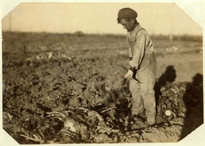 Jo Wohn, ten-year-old topper in beet field near Sterling, Colorado. He works from 6 A.M. to 6-30 P.M., with about half an hour for lunch. LOC nclc.00335
