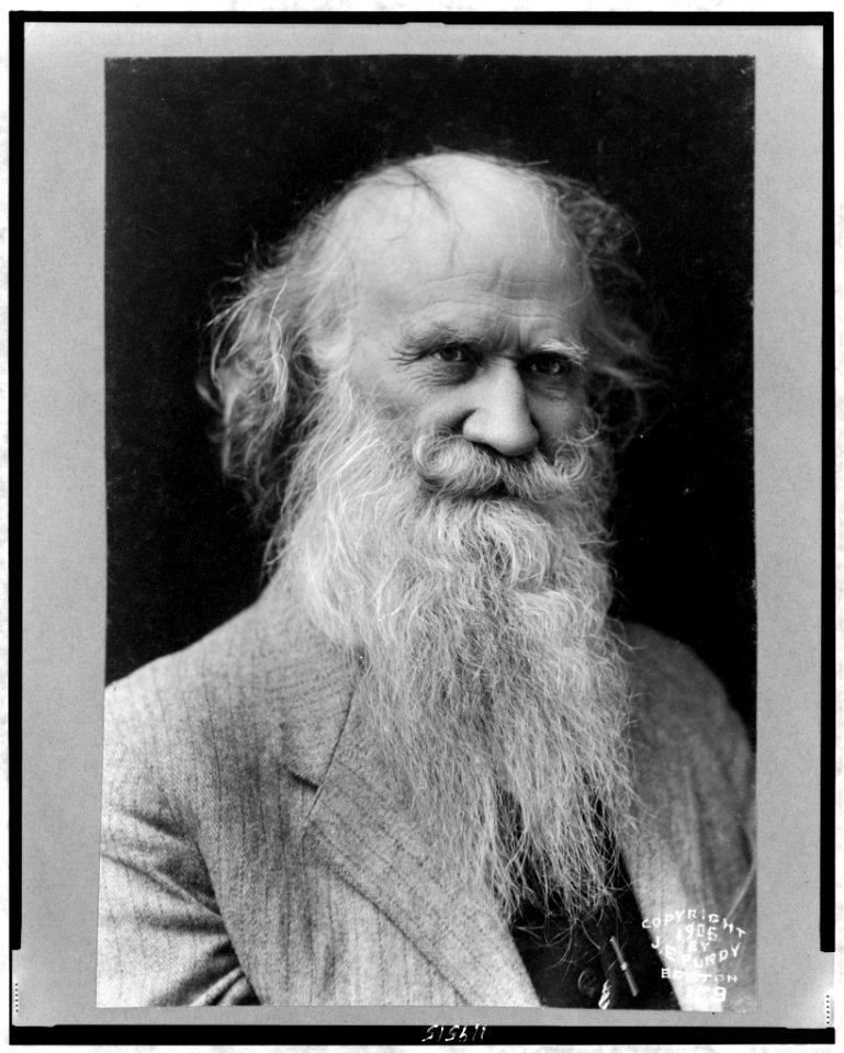 Joaquin Miller, head-and-shoulders portrait, facing slightly right LCCN98505985