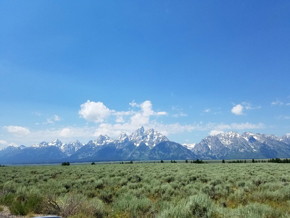 Mountain scenic wyoming