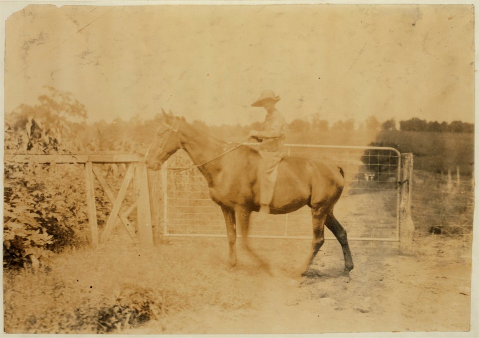John Aldridge, 14 years old. Father, Hense Aldridge, R. Route 1, Winchester. Driving horse home. Works on tobacco. Expects to start school in 'couple of weeks.' It is now several weeks after LOC nclc.00444