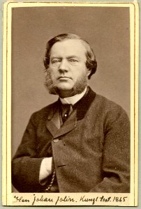 Johan Jolin, porträtt - SMV - H4 187