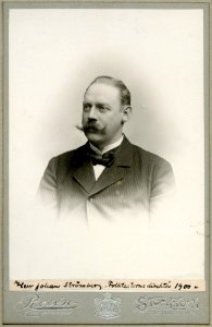 Johan Strömberg, porträtt - SMV - H8 052