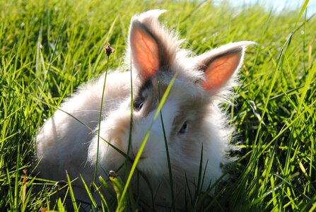 Cute grass funny