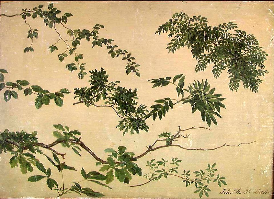 Johan Christian Dahl - Study of Twigs and Leaves - NG.M.02641 - National Museum of Art, Architecture and Design