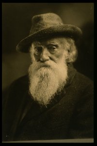 John Burroughs, head-and-shoulders portrait, wearing hat and coat, seated, facing front LCCN2001697072