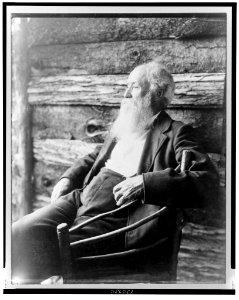 John Burroughs in rustic chair LCCN2002695442