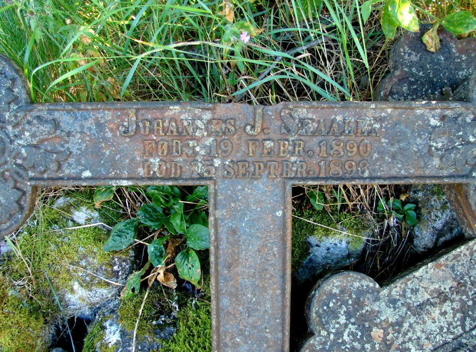 Johannes J. Skaalen (Mo kirke)