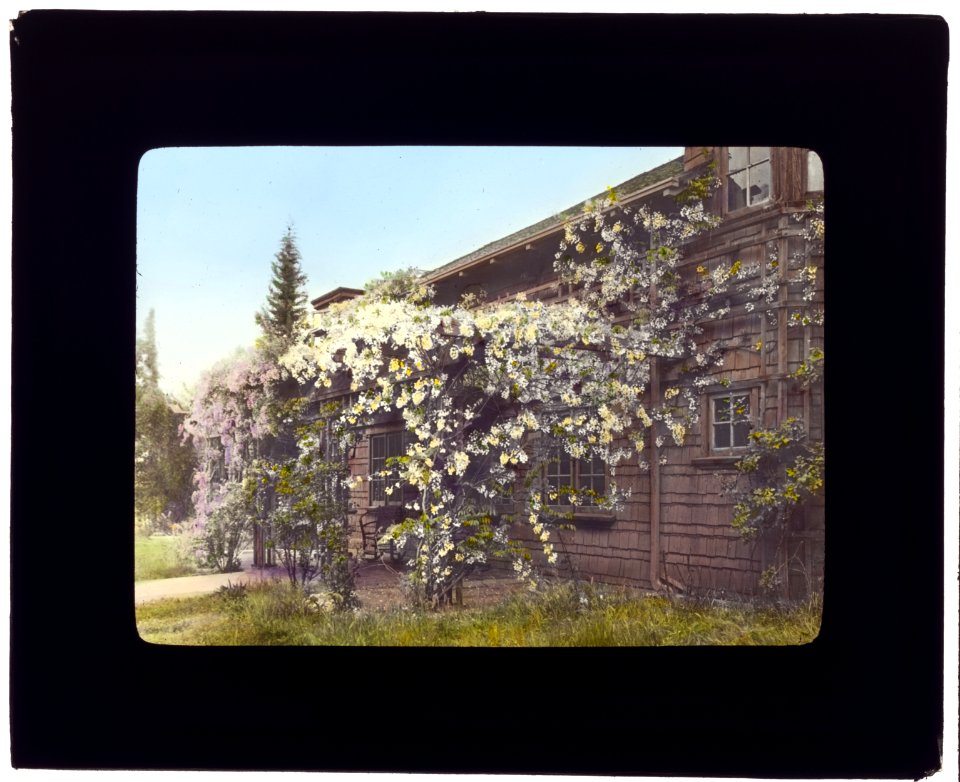 John Constantine Hillman house, 514 California Terrace, Pasadena, California. Pergola porch LCCN2007685008