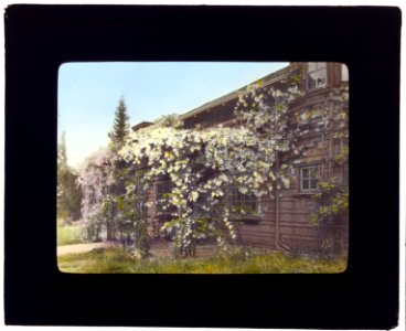 John Constantine Hillman house, 514 California Terrace, Pasadena, California. Pergola porch LCCN2007685008