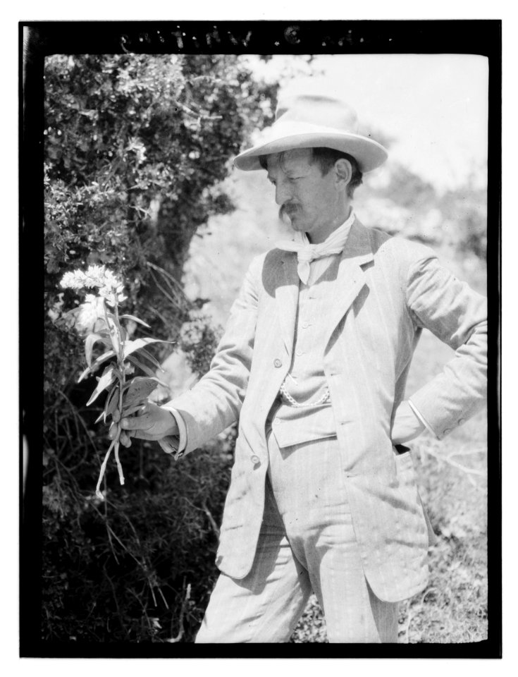 John D. Whiting LOC matpc.13486