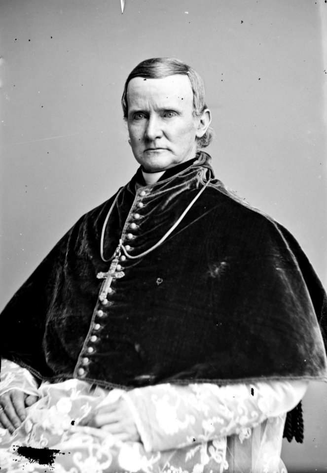 John Cardinal McCloskey - Brady-Handy