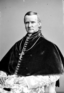 John Cardinal McCloskey - Brady-Handy