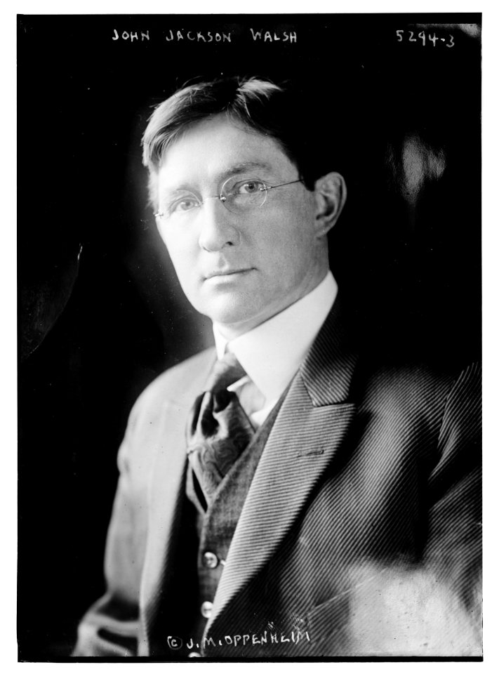 John Jackson Walsh LCCN2014711390