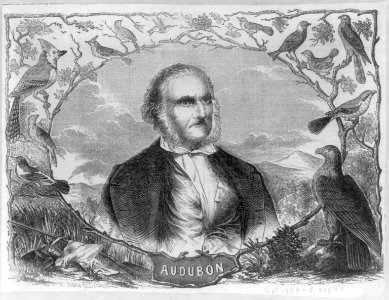John James Audubon, 1785-1851, head-and-shoulders portrait, facing right in oval memorial portrait fringed by bird vignettes LCCN2005689323 photo
