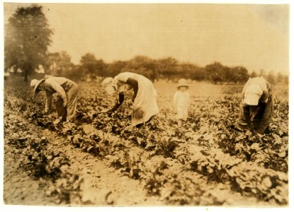 John Kalishek family, Bohemian beet-workers. LOC nclc.00691