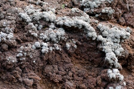 Italy volcanic weave photo