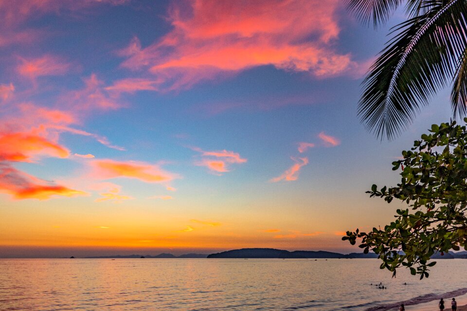 The sun beach the tropical