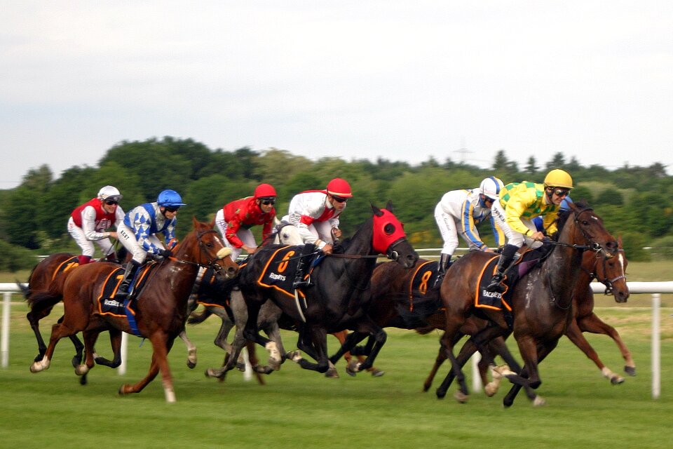 Baden baden racehorse racehorses