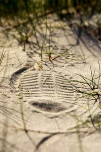 Reprint footprint sand road photo