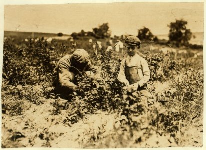 Johnnie Goldberg and father on a Rock Creek farm. Boy worked at Young Island, S.C. one winter. July 7, 1909. LOC nclc.00014