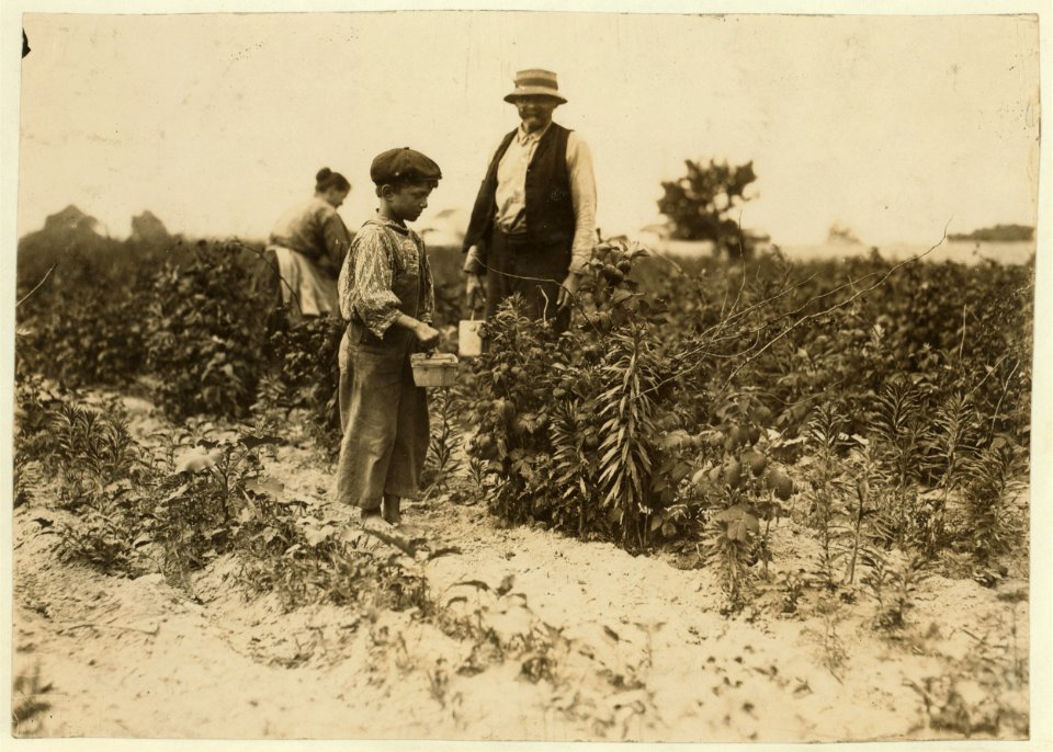 Johnnie Yellow, a young Polish berry picker on Bottomley farm, Rock Creek, near Baltimore, Md. Says he is 10 years old and has gone to Biloxi, Miss. for 9 years (with family) and has worked LOC cph.3a20804